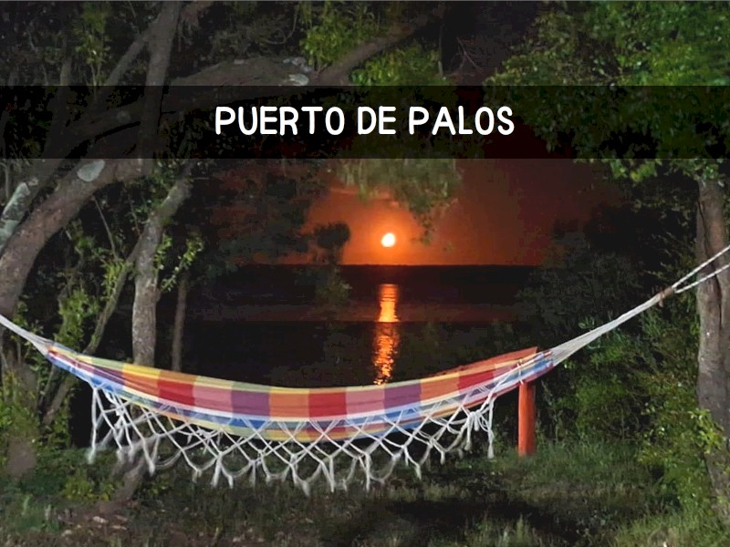 portada_puertopalos2.jpg