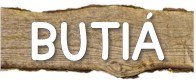 pitanga.jpg