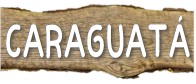 pitanga.jpg