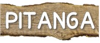 pitanga.jpg